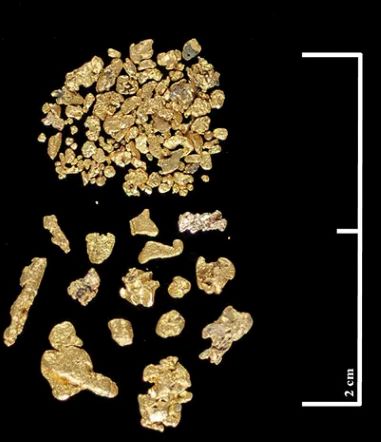 Blackbeard flag history